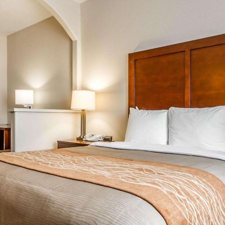Comfort Inn & Suites Oakland Airport Dış mekan fotoğraf