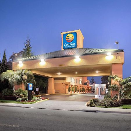 Comfort Inn & Suites Oakland Airport Dış mekan fotoğraf