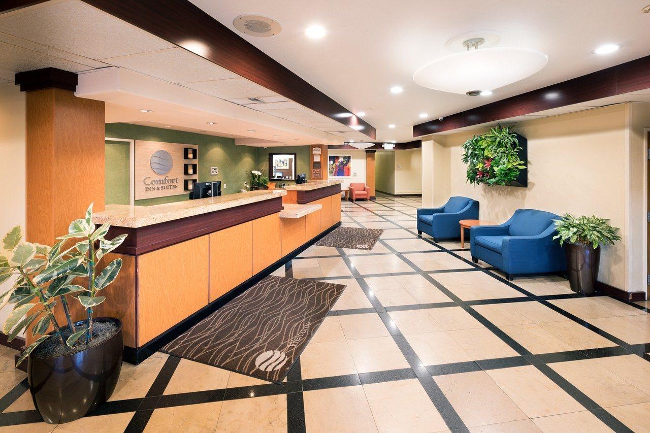 Comfort Inn & Suites Oakland Airport Dış mekan fotoğraf