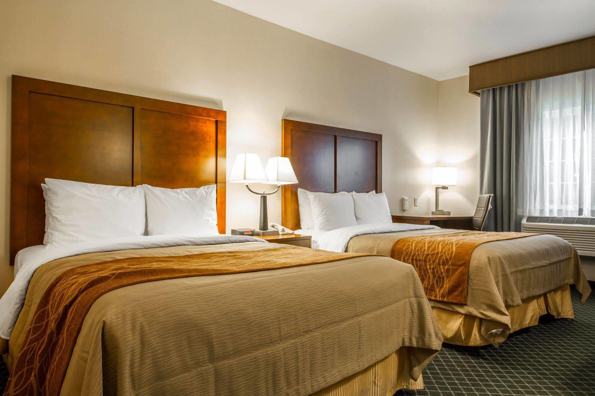 Comfort Inn & Suites Oakland Airport Dış mekan fotoğraf