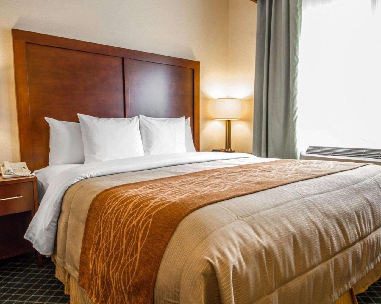 Comfort Inn & Suites Oakland Airport Dış mekan fotoğraf