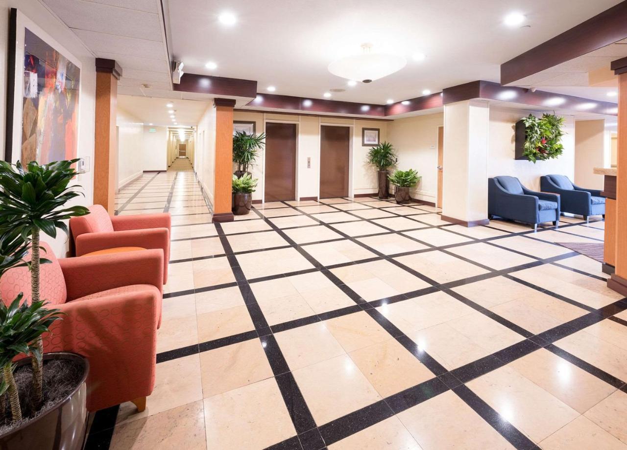 Comfort Inn & Suites Oakland Airport Dış mekan fotoğraf